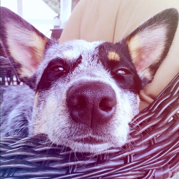 Welcome, come say hello!💕✨ - Picture 8 of 11